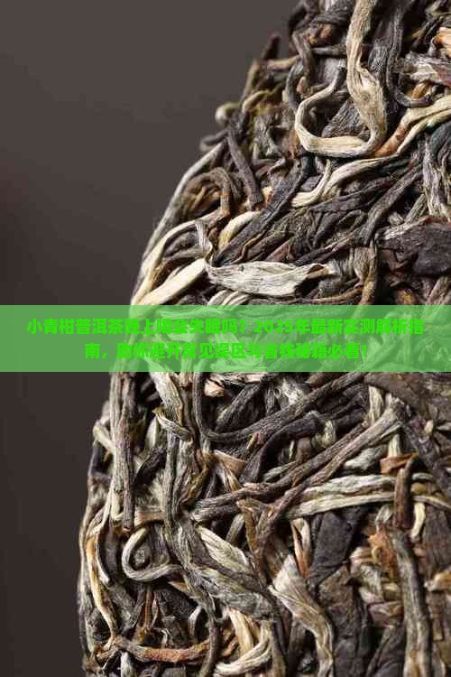 小青柑普洱茶能不能晚上喝
