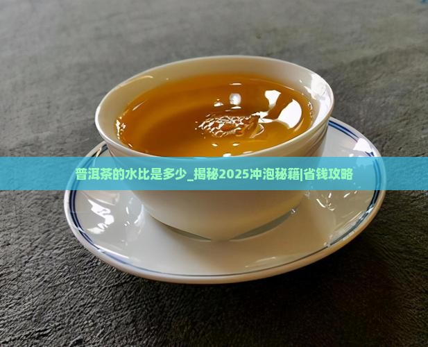 普洱茶的水比是多少