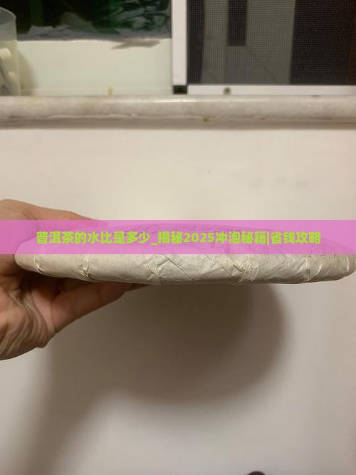 普洱茶的水比是多少