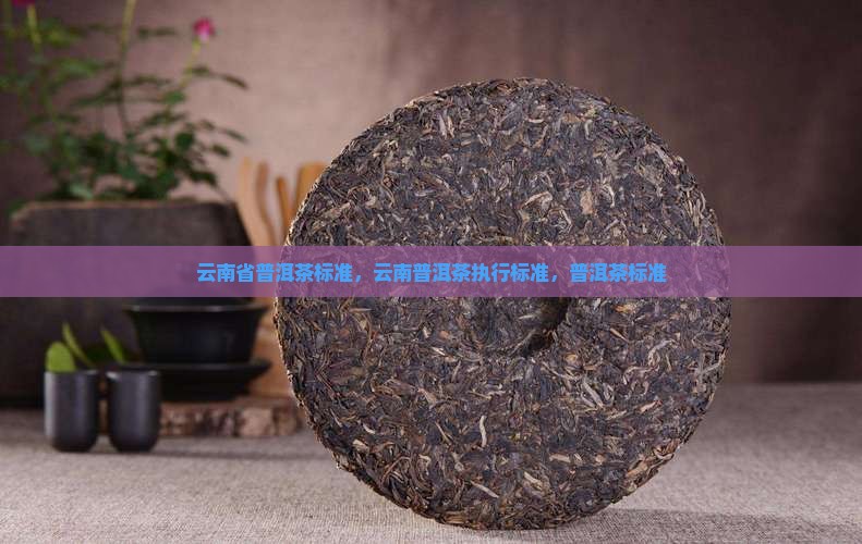 云南省普洱茶标准