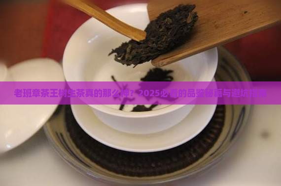 老班章茶王树生茶
