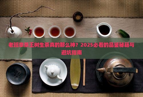 老班章茶王树生茶