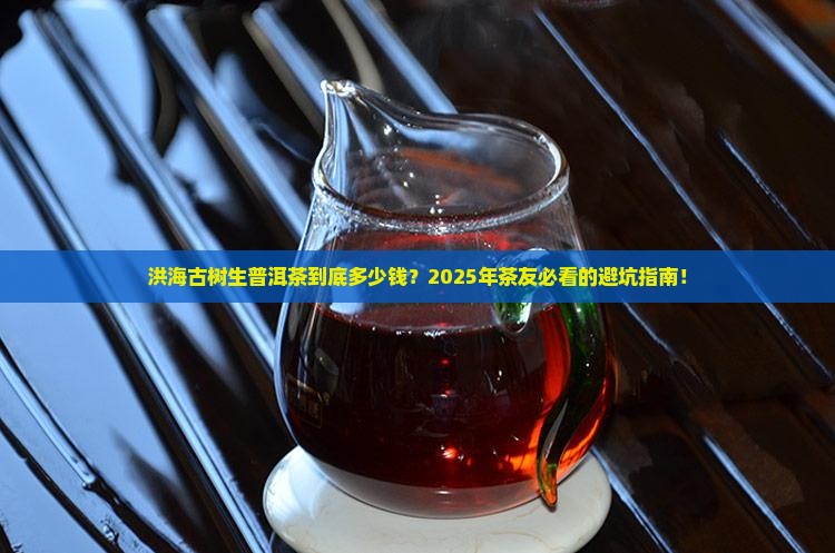 洪海古树生普洱茶价格