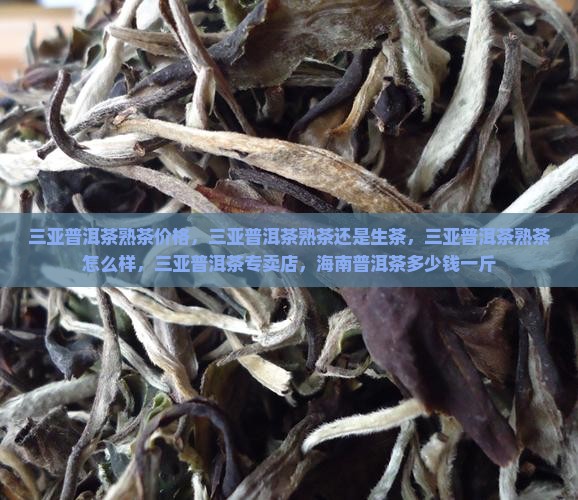 三亚普洱茶熟茶