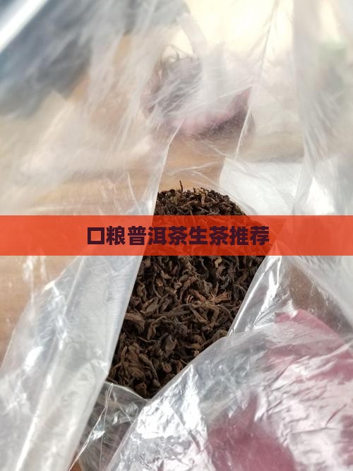 口粮普洱茶生茶