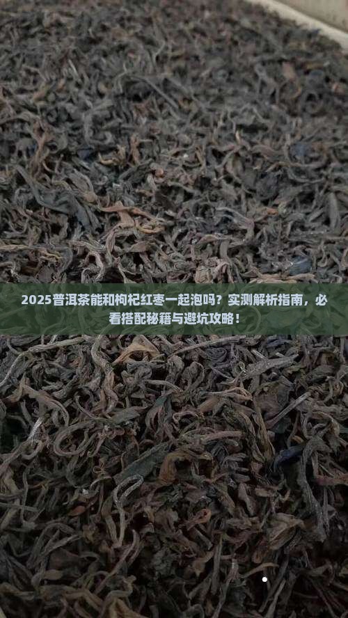 普洱茶能和枸杞红枣