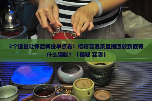 桔柑普洱茶直播回放