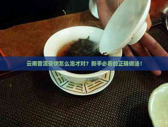 云南普洱茶饼的正确做法