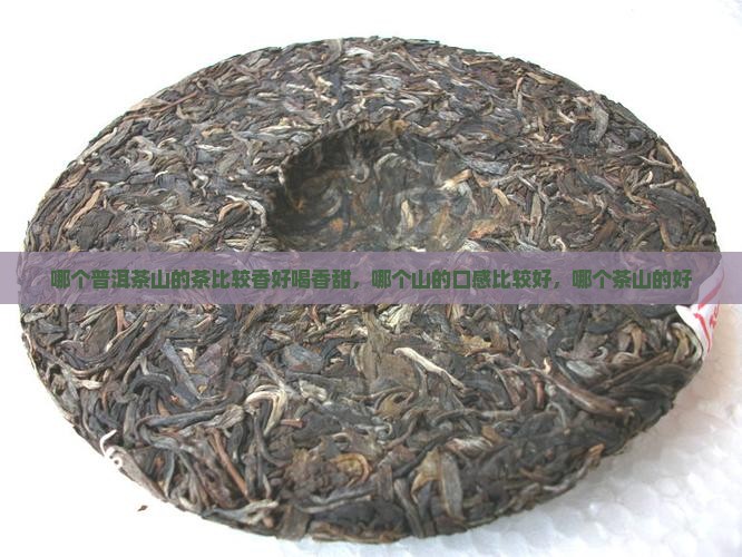 哪个普洱茶山的茶比较香