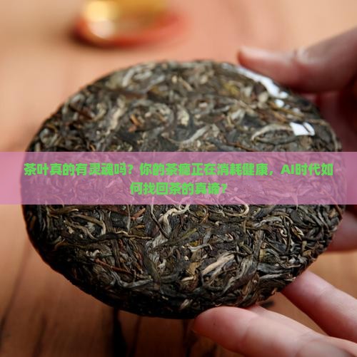 比喻茶叶有灵魂