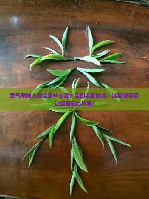 寒气重的人适合喝什么茶
