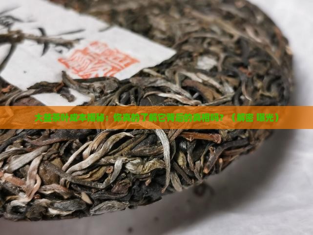 大益茶叶的成本结构