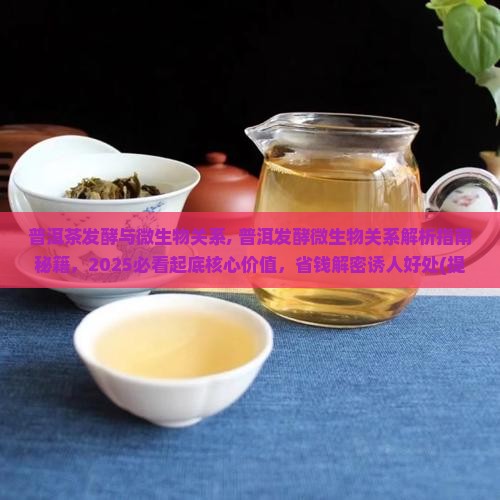 普洱茶发酵与微生物关系