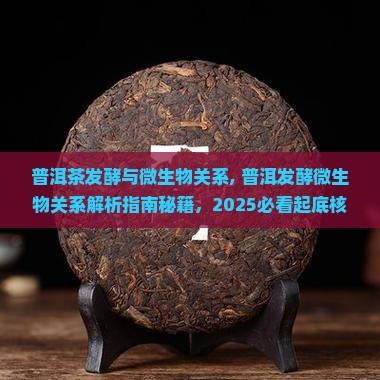 普洱茶发酵与微生物关系