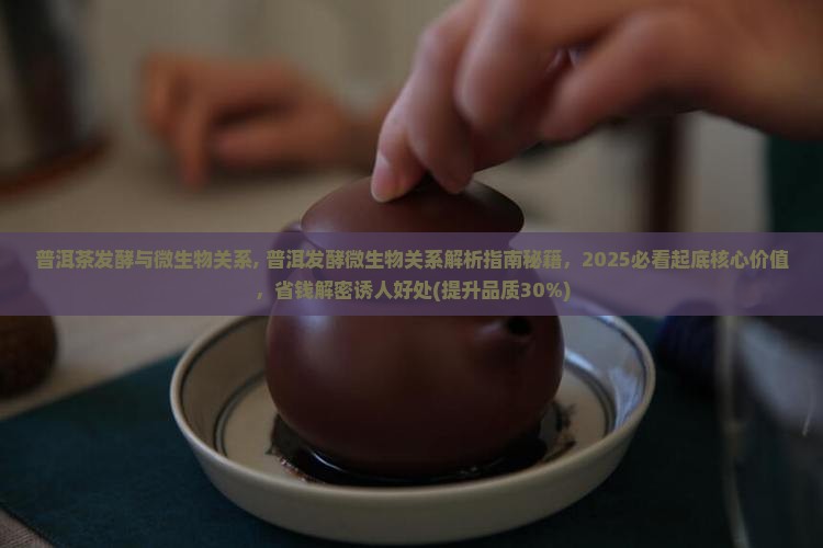 普洱茶发酵与微生物关系