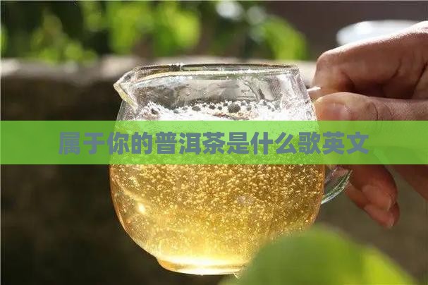 属于你的普洱茶