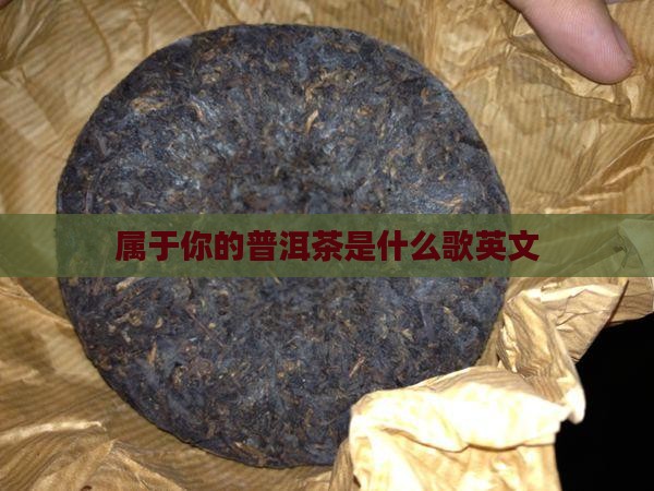 属于你的普洱茶