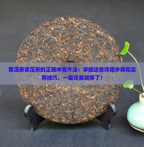 普洱茶紧压茶的泡法