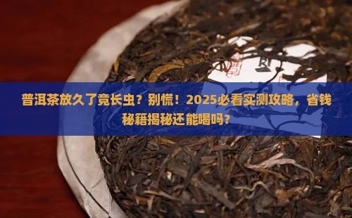 普洱茶时间久了长虫吗还能喝吗