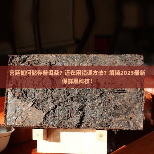 宫廷如何储存普洱茶