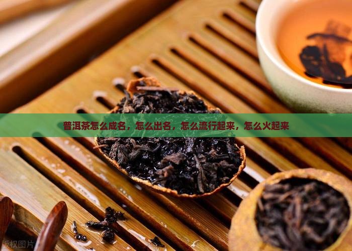 普洱茶怎么成名