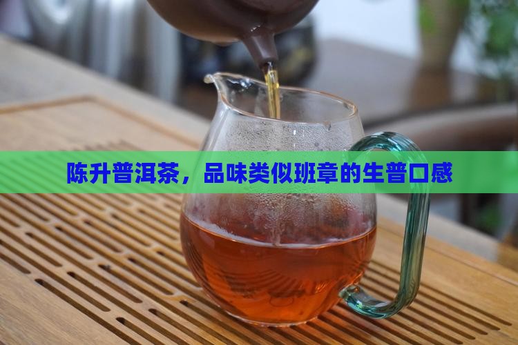 类似陈升老班章口感的生普