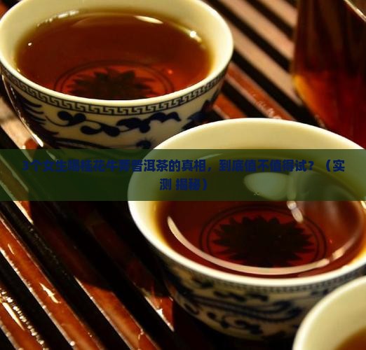 桂花牛蒡普洱茶搭配