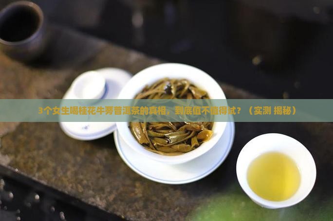 桂花牛蒡普洱茶搭配