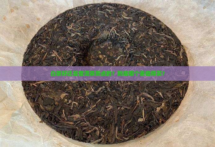 白茶好还是普洱茶贵点的