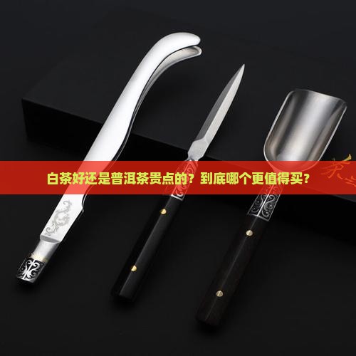 白茶好还是普洱茶贵点的