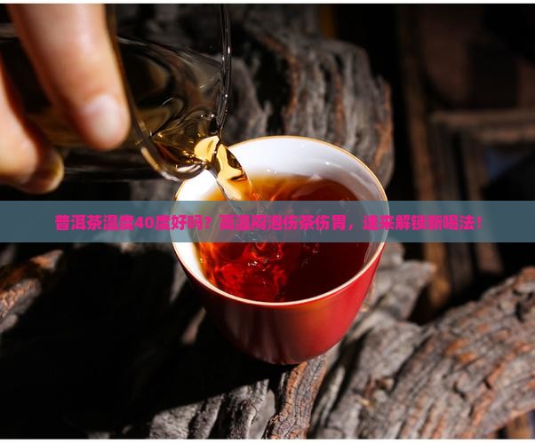 普洱茶温度40度好吗