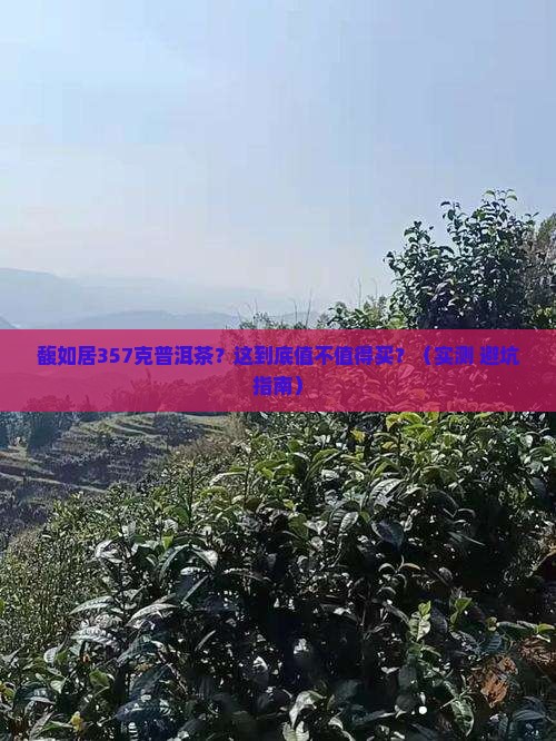 馥如居357克普洱茶
