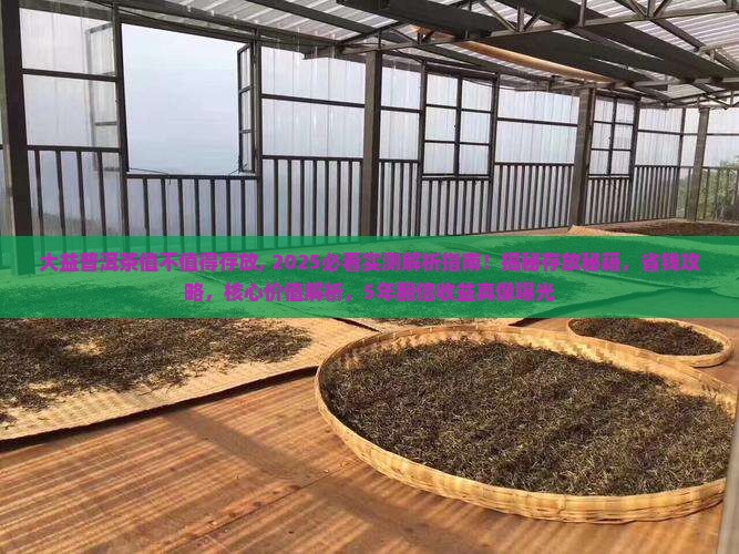 大益普洱茶值不值得存放