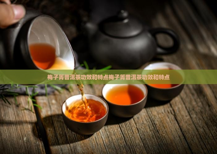梅子箐普洱茶功效和特点