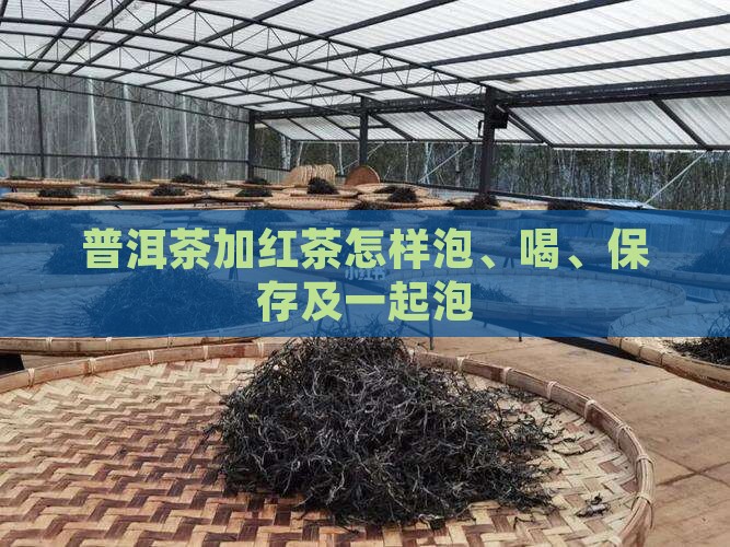 普洱茶加红茶怎样
