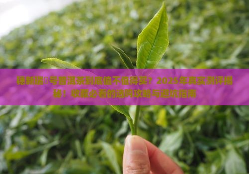 穗新瑞峯号普洱茶