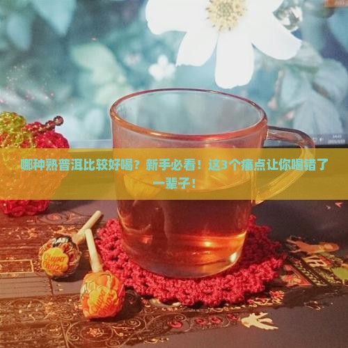 哪种熟普洱比较好喝