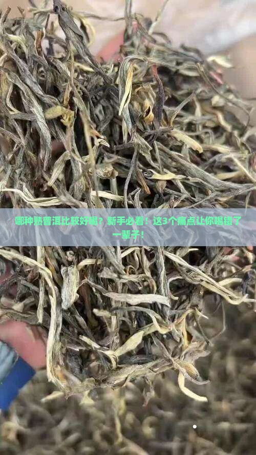 哪种熟普洱比较好喝