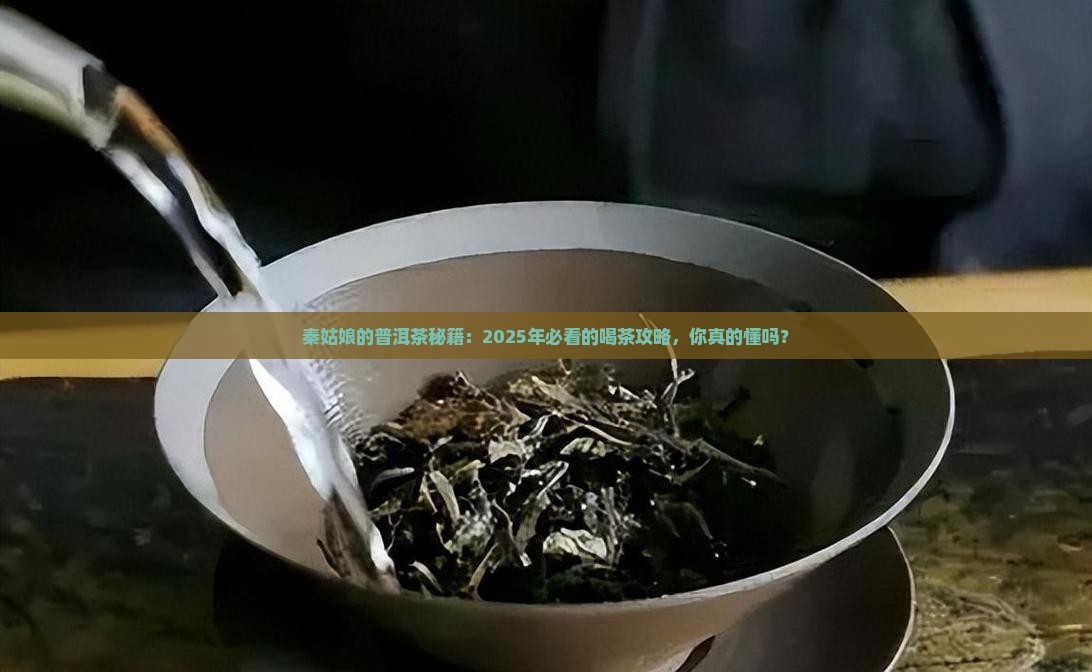 秦姑娘和普洱茶