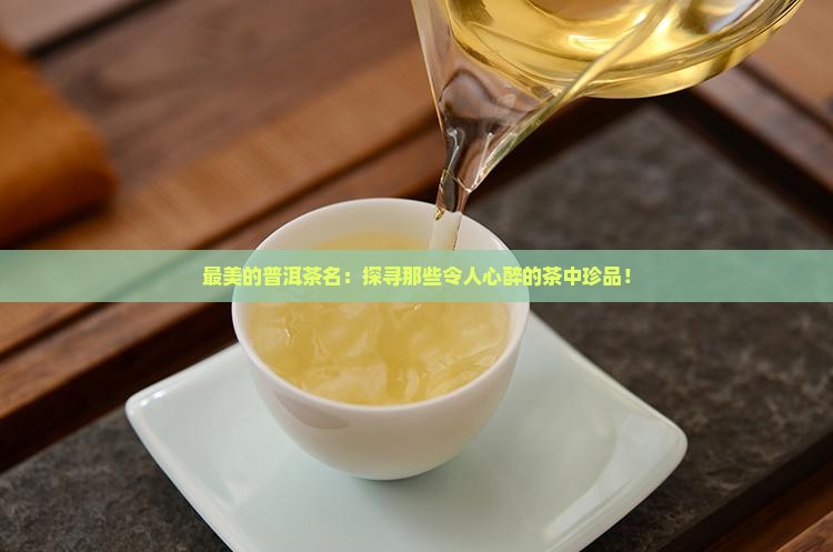最美的普洱茶名