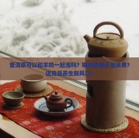 普洱茶可以和羊奶一起泡吗