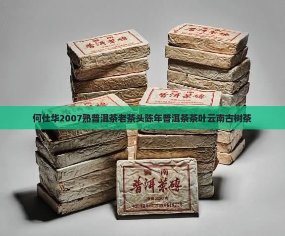 何仕华2007熟普洱茶