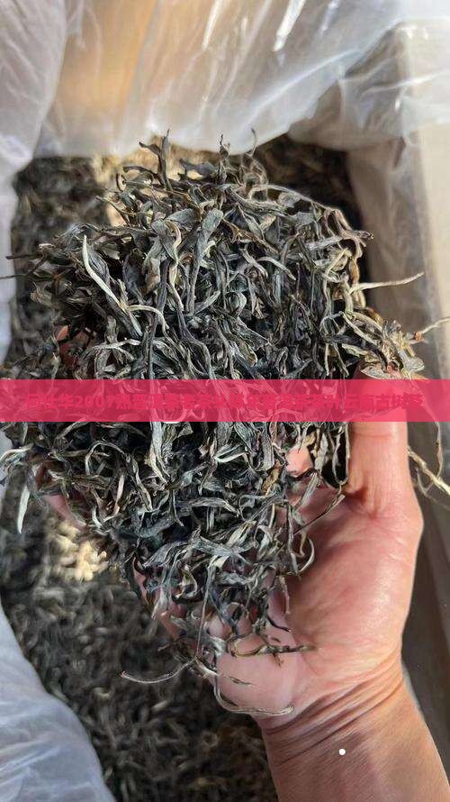 何仕华2007熟普洱茶