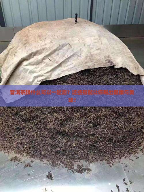 普洱茶跟什么可以一起泡