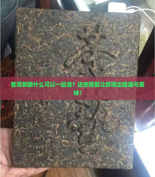 普洱茶跟什么可以一起泡