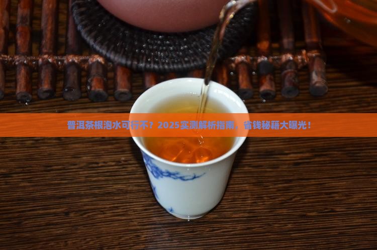 普洱茶的根可以泡水吗