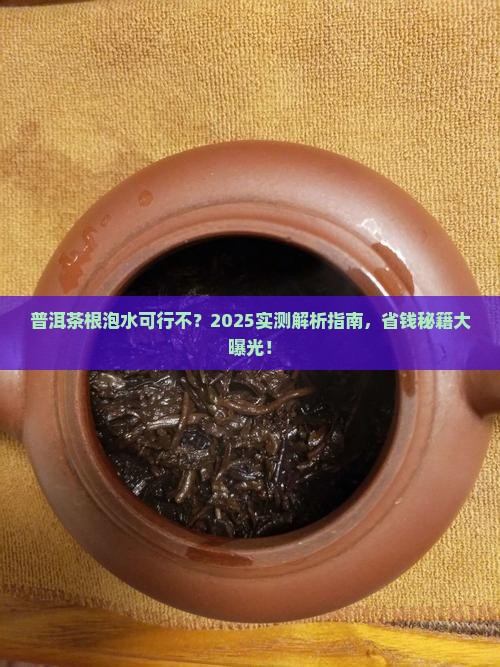 普洱茶的根可以泡水吗