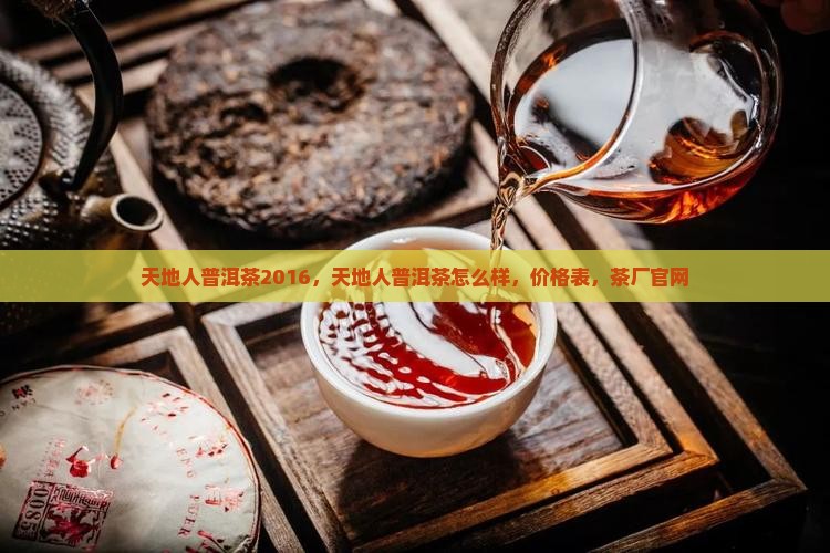天地人普洱茶2016