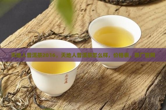 天地人普洱茶2016
