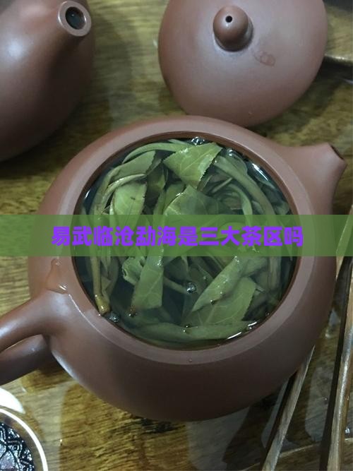 易武临沧勐海是三大茶区吗